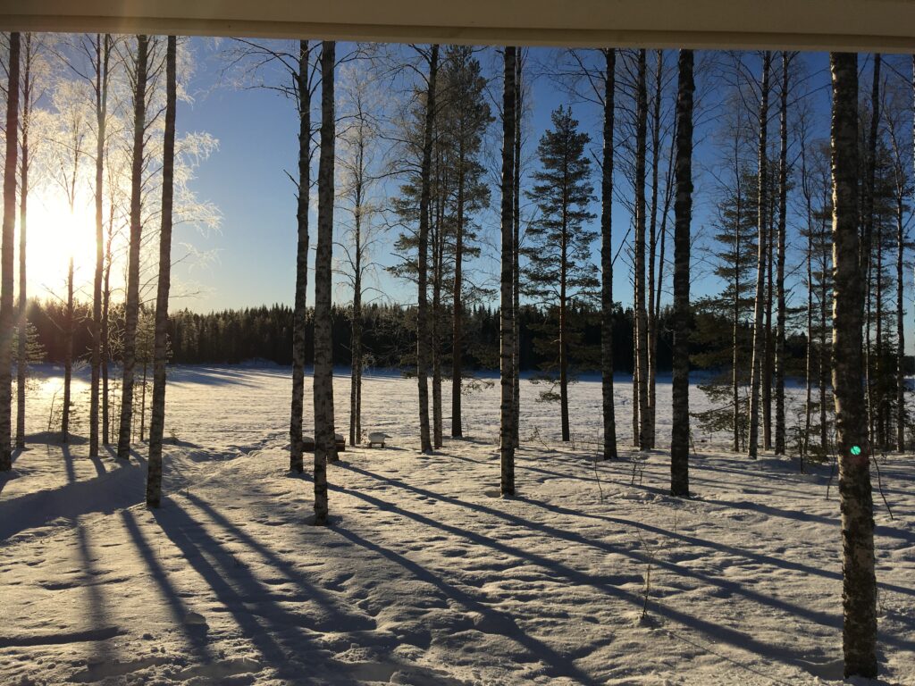 Sonne zwischen den verschneiten Bäumen, blauer Himmel, lange Schatten.